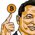 crypto_musk_vip3.png