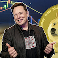 crypto_musk.png